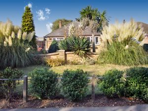 RUSH GREEN ROAD- click for photo gallery